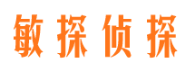 神池市调查公司